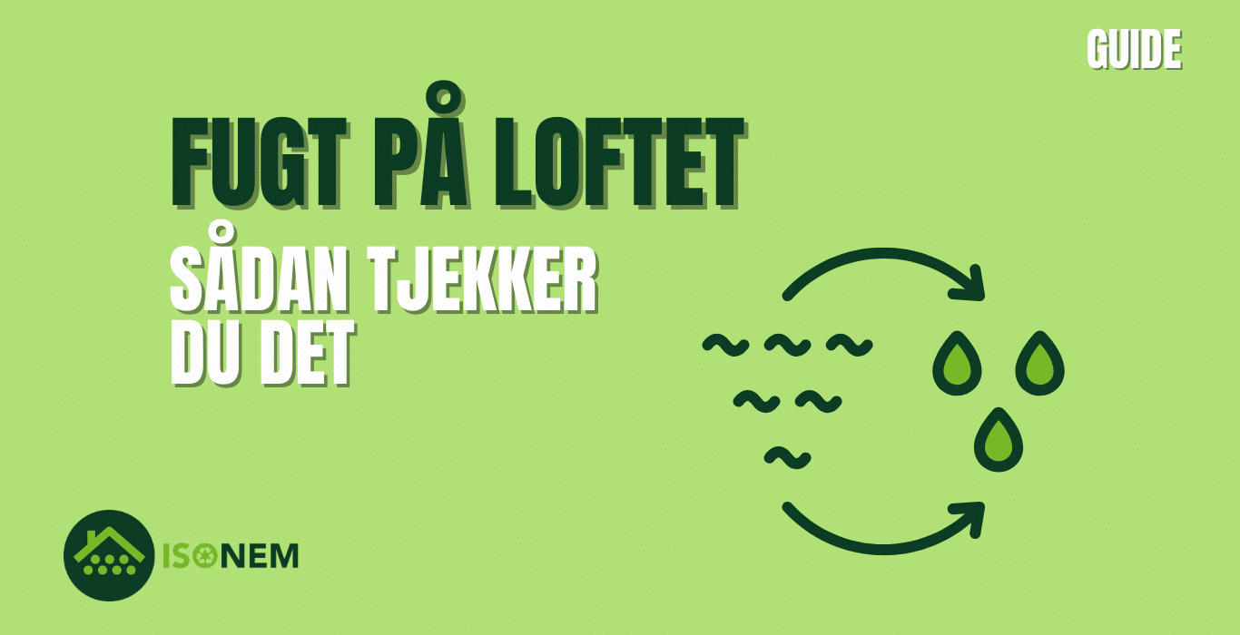 fugt på loftet